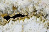 6" Polished Nydegger Plume Agate Slab - Oregon - #141300-2